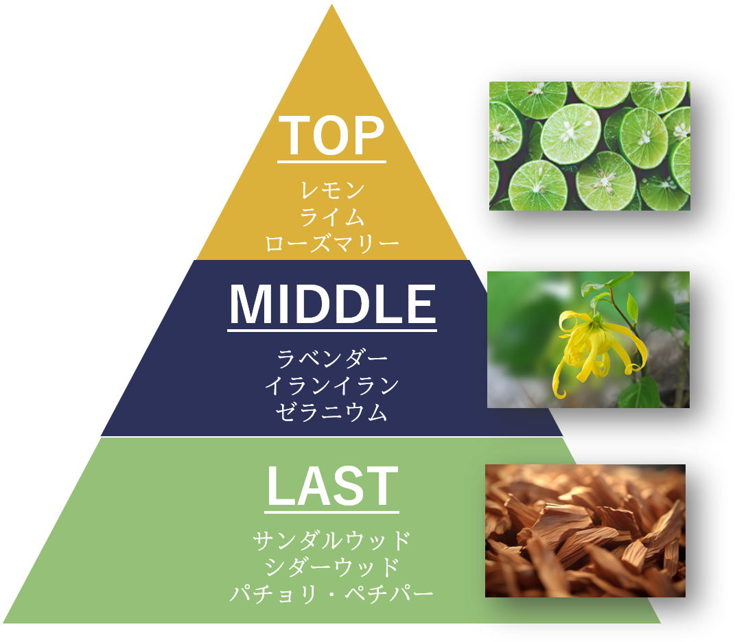 香りの三角形