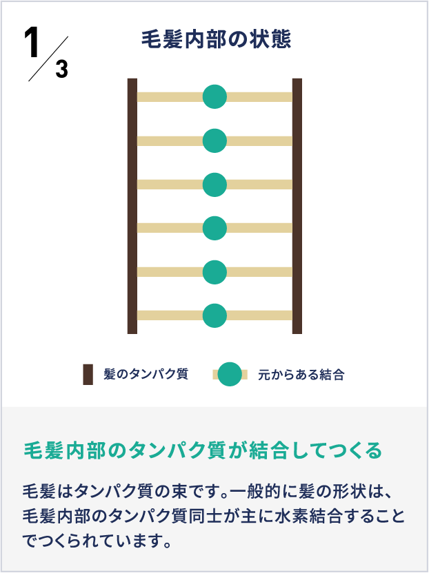 1毛髪内部の状態