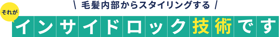 毛髪内部からスタイリングする それがインサイドロック技術です