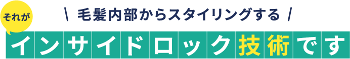 毛髪内部からスタイリングする それがインサイドロック技術です