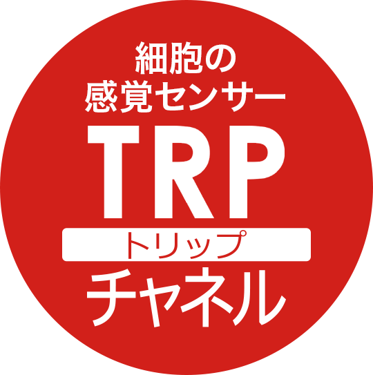 細胞の感覚センサー TRP（トリップ）チャネル